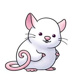 White Rat 2020